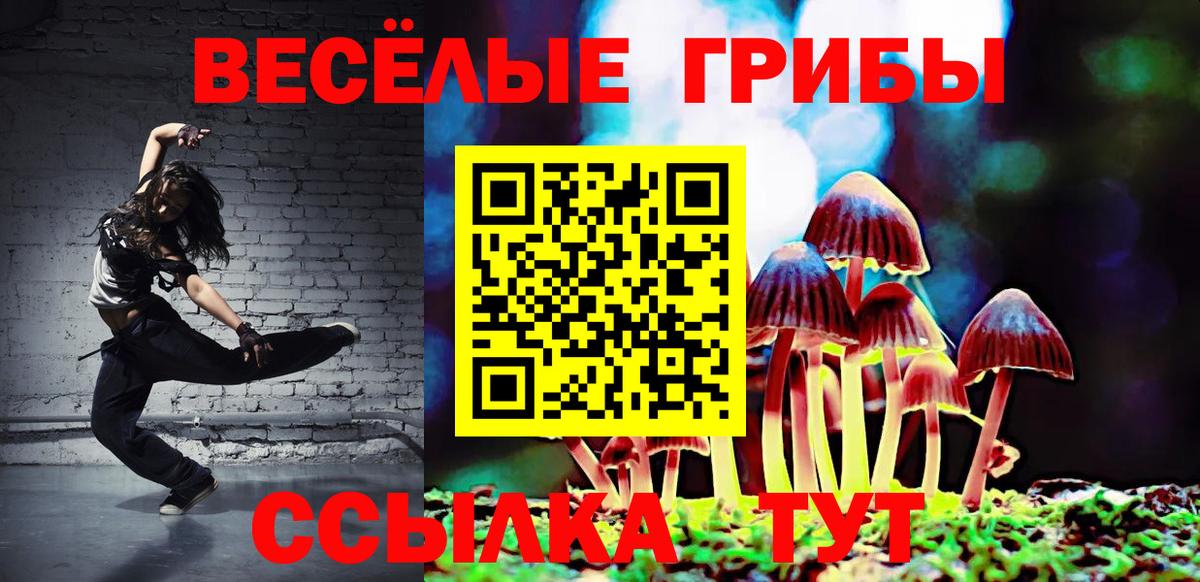 Медногорск  Псилоцибиновые грибы мицелий  Галлюциногенные грибы мухоморы  Вход с VPN 